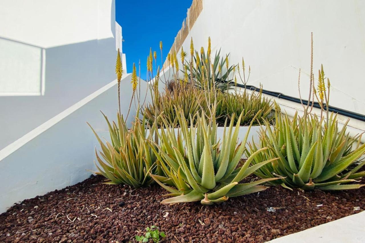 Tenerife.365 Atalaya Court II Sunset Ocean View Costa Adeje  Exterior foto